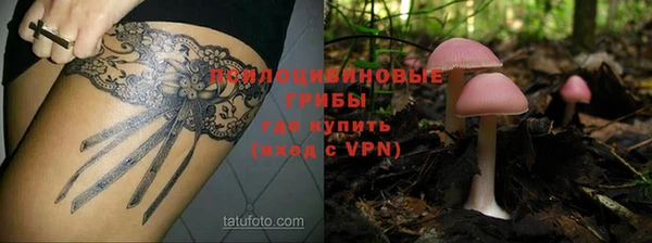 МДПВ Новозыбков