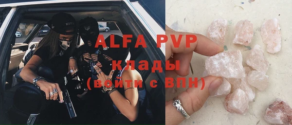 прущие грибы Новодвинск