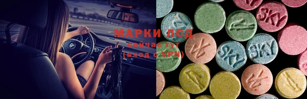 прущие грибы Новодвинск