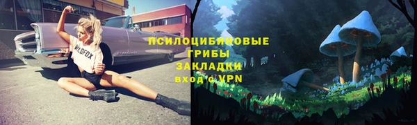 стаф Новокубанск