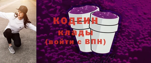 прущие грибы Новодвинск