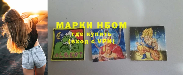 стаф Новокубанск
