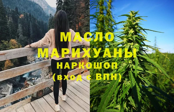 прущие грибы Новодвинск