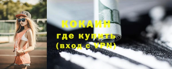 прущие грибы Новодвинск