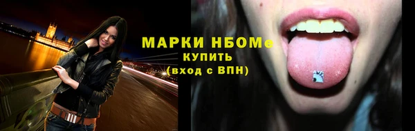 стаф Новокубанск