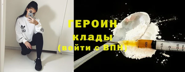 прущие грибы Новодвинск