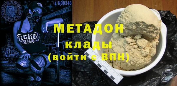 прущие грибы Новодвинск