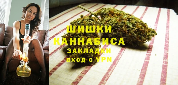 стаф Новокубанск