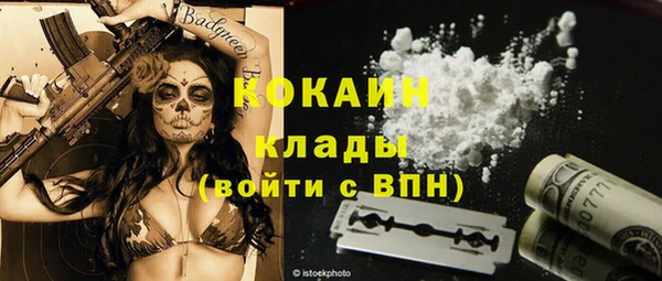прущие грибы Новодвинск