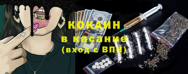 прущие грибы Новодвинск