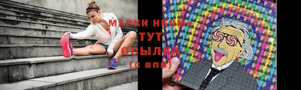 стаф Новокубанск