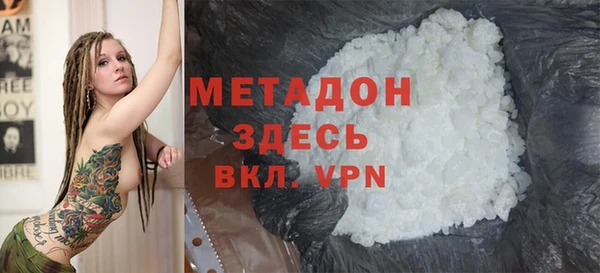 прущие грибы Новодвинск