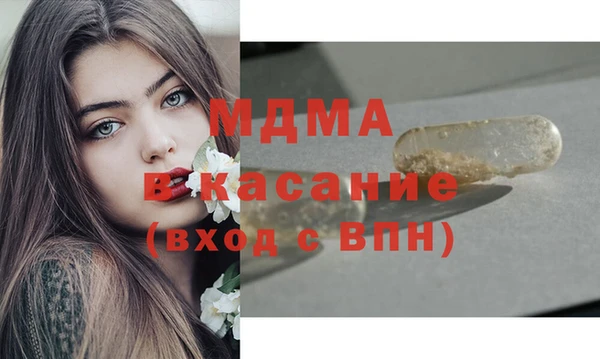 стаф Новокубанск